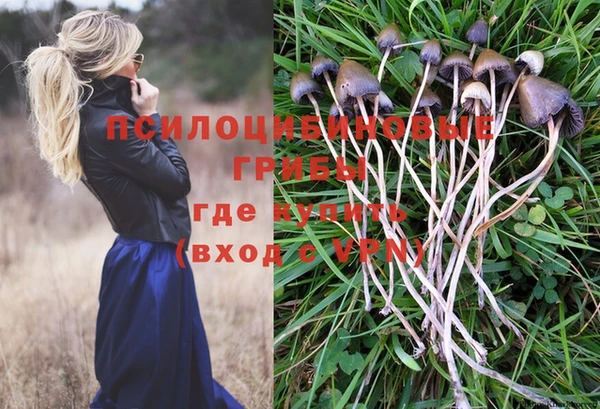 бошки Богородицк