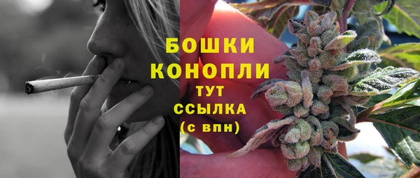бутират Богданович