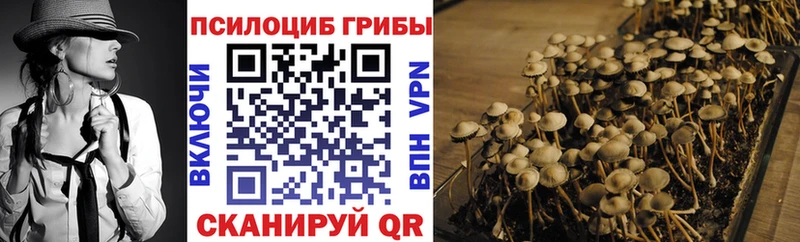 МЕГА как войти  Воскресенск  Псилоцибиновые грибы Cubensis 